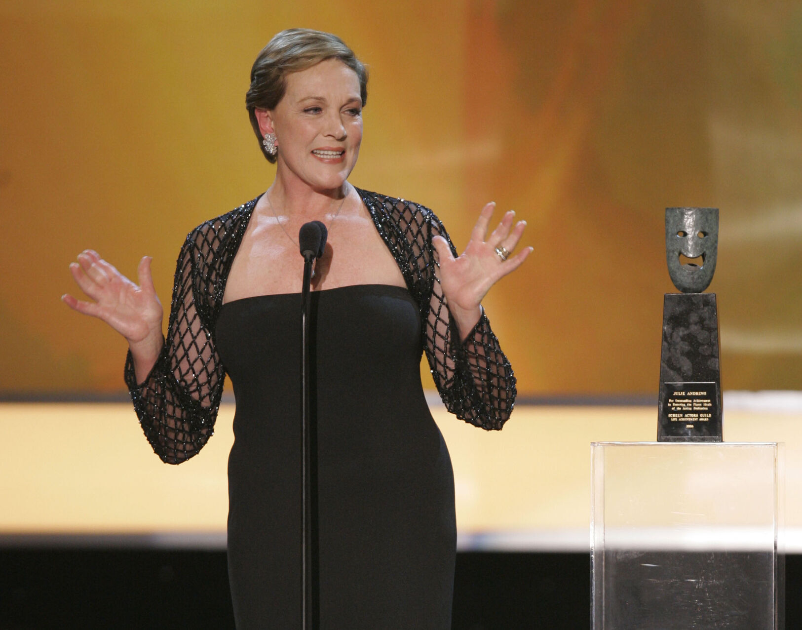 2007: Julie Andrews accepts 43rd annual life achievement award at SAG Awards